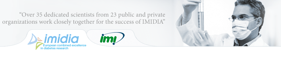 imidia head logo