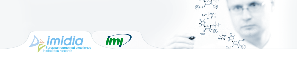 imidia head logo